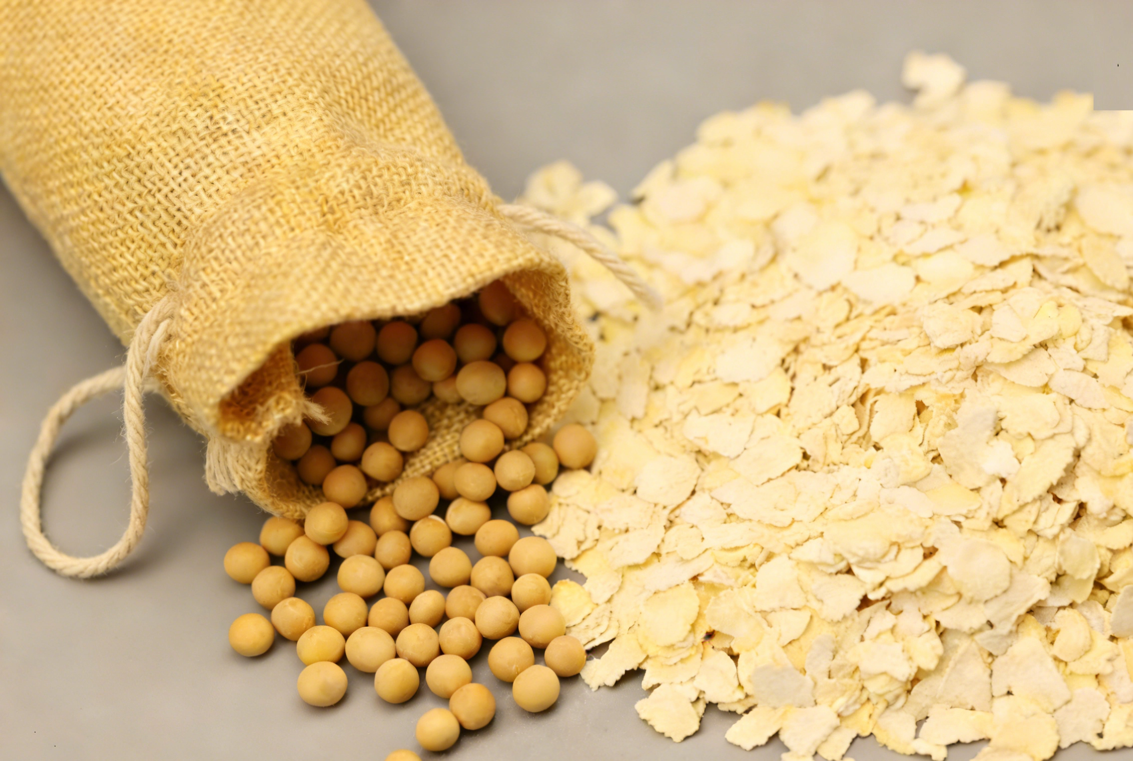 Low-temperature edible soybean meal