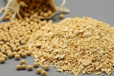 High-temperature edible soybean meal