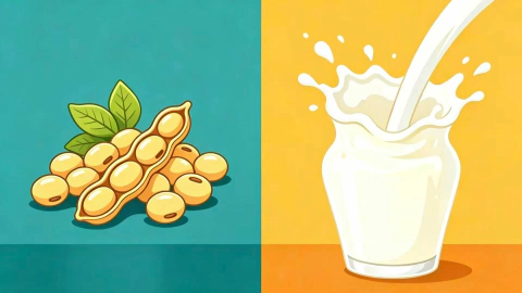 Soy protein VS Whey protein (https://en.yuwangprotein.com/) Industry Insights 第1张